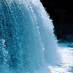 Meet your Posher, Tiffiny